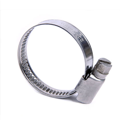 Germany Type 9mm Bandwidth Hose Clamp 8-12mm 60-80mm W1 Silver